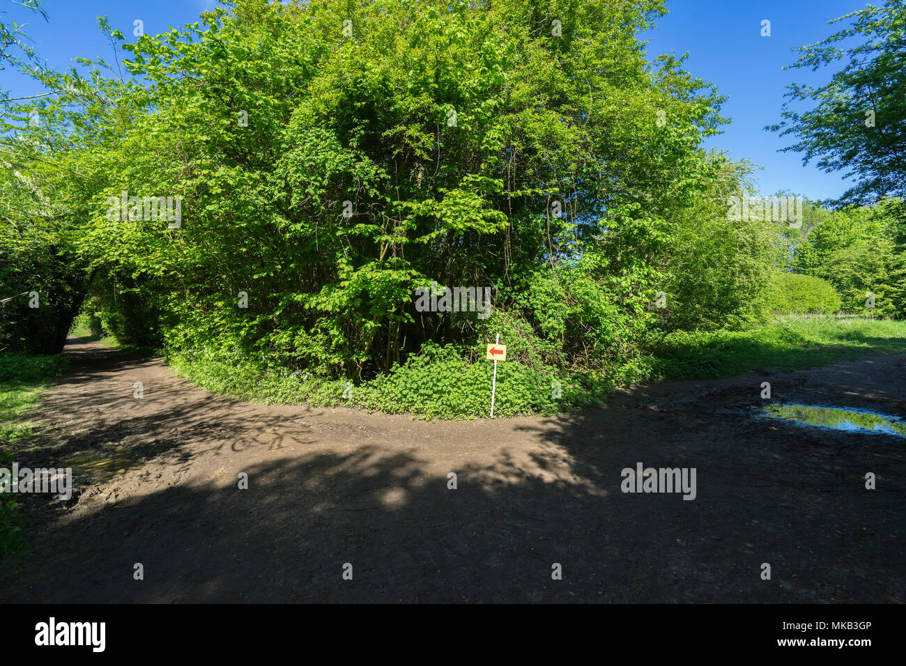 Folgen Sie dem Pfeil Stockfoto