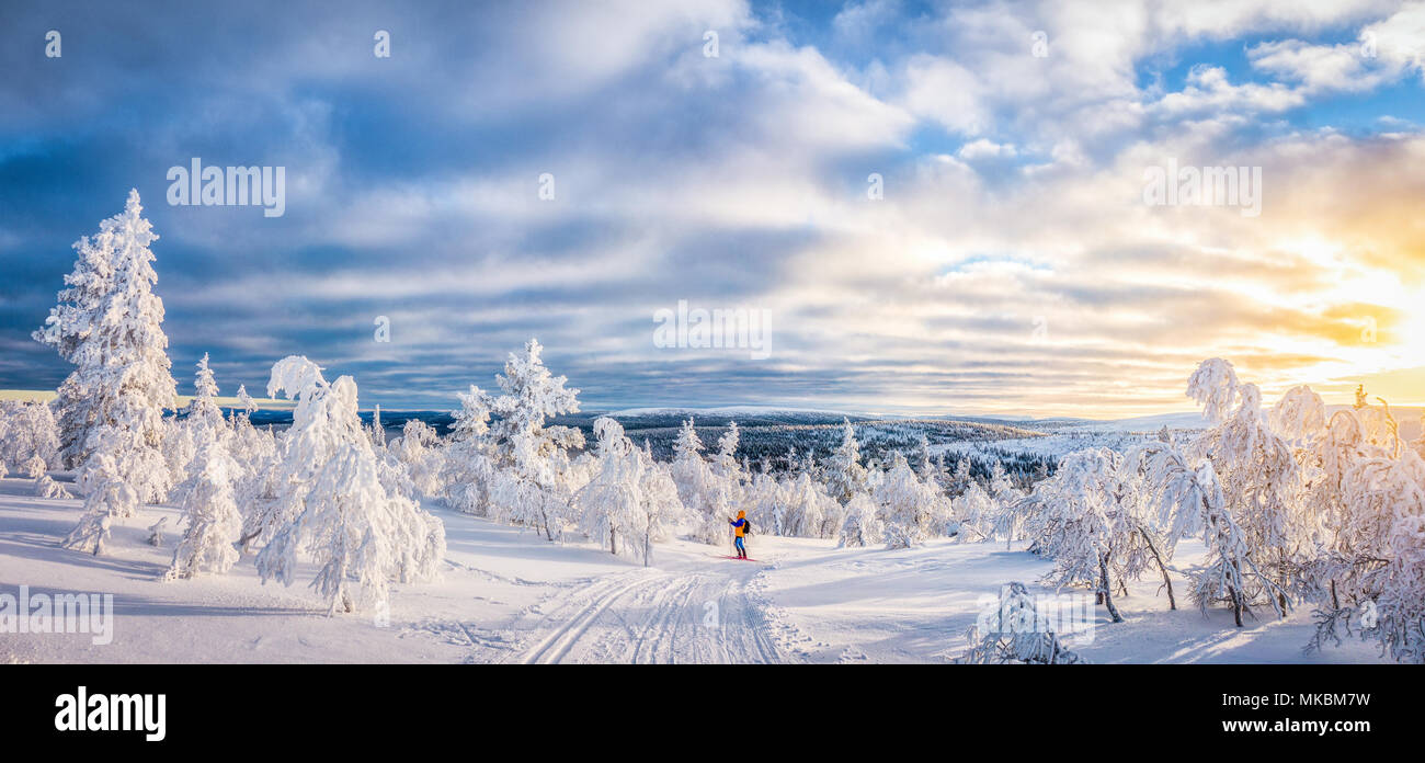 Panoramablick auf jungen Mann Langlauf auf eine Spur in der schönen Winterlandschaft Landschaft in Skandinavien mit herrlichem Licht am Abend bei Sonnenuntergang Stockfoto