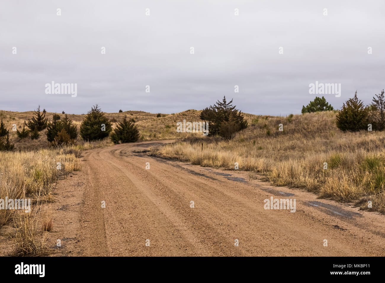 Sandweg durch Nebraska National Forest innerhalb der Nebraska Sandhills Region führende, USA Stockfoto