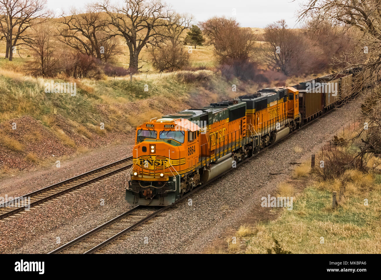 BNSF Einheit Kohle Züge gehen hin und her zwischen Zechen im Einzugsgebiet von Wyoming und Montana und die Dienstprogramme, die Kohle in der midw verwenden Stockfoto