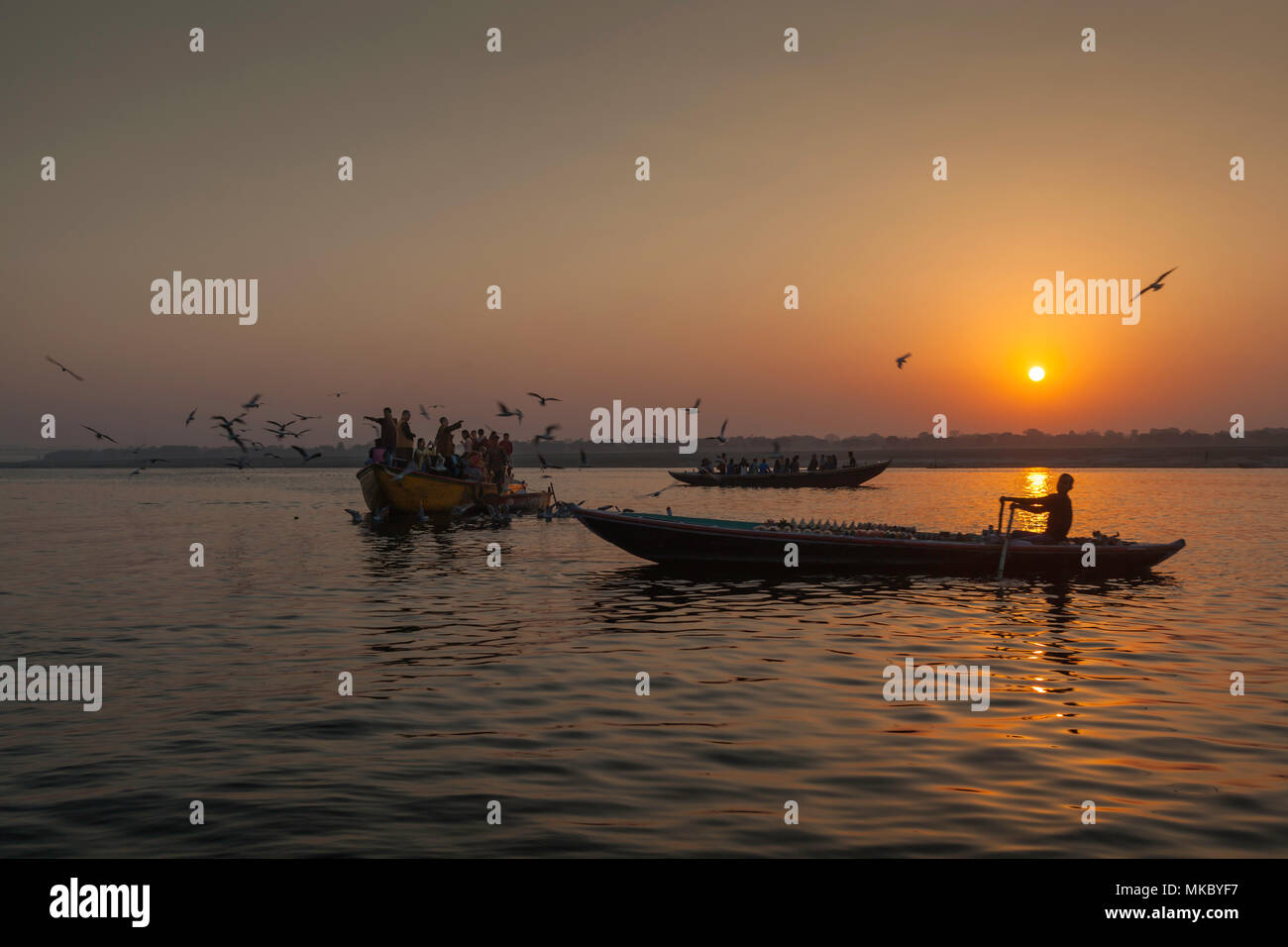 Einem Boot voller Touristen, geführt von einem Mönch, füttern Sie die Vögel bei Sonnenaufgang über den Ganges. Stockfoto