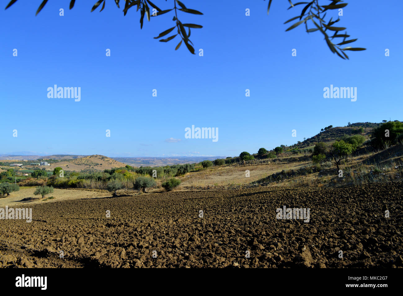 Typisch sizilianischen Landschaft gepflügt und bereit für die Aussaat, Italien, Europa Stockfoto