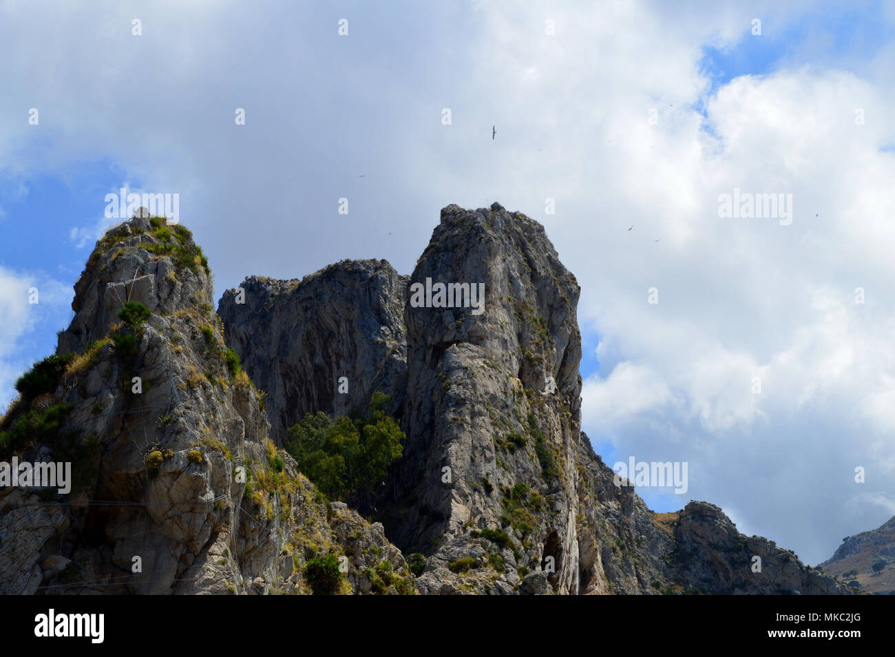 Typische felsige Wand der Berge Palermo, Sizilien, Italien, Europa Stockfoto