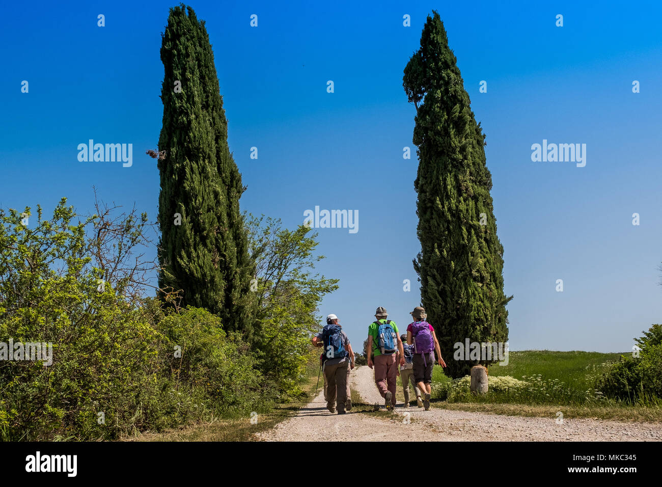 ASCIANO, Toskana, Italien - 25 April 2018: Trekking, Asciano mit Schluchten, Farmen in einer rauen Landschaft, in Serre di Rapolano, bekannt für die Trave angekommen Stockfoto