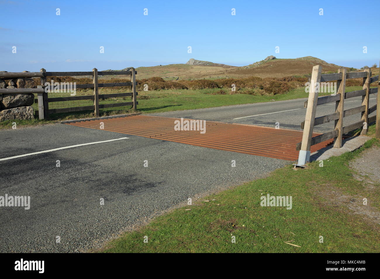 Blick Richtung Haytor/Sattel Tor, Dartmoor National Park, Devon, Großbritannien Stockfoto
