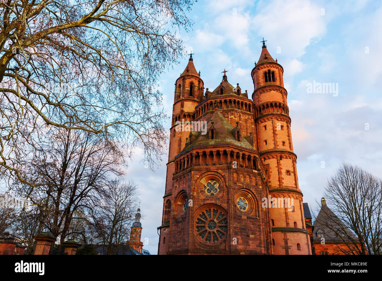 Blick auf den Wormser Dom in Worms, Deutschland Stockfoto