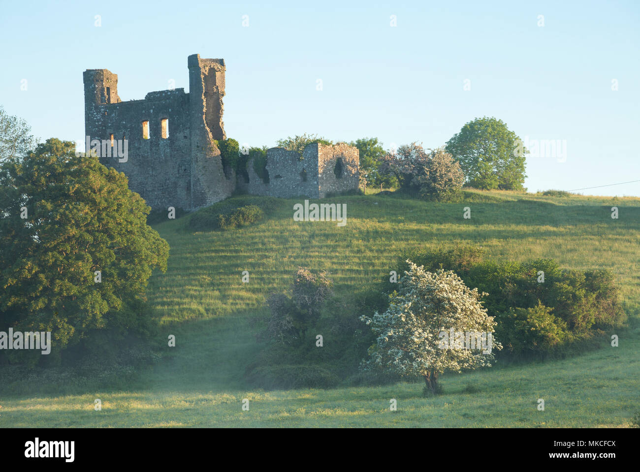 Dunmoe Castle am Ufer des Rover Boyne, County Meath Irland Stockfoto