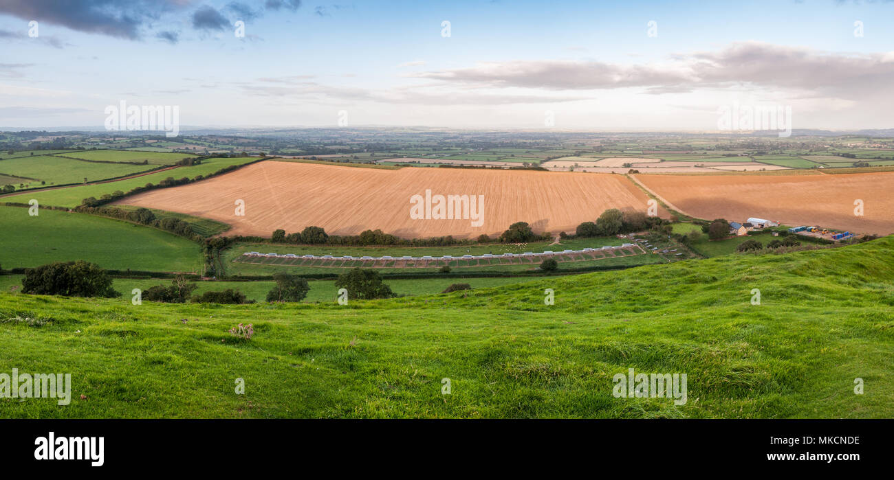 Morgen leuchtet die Landschaft der Somerset Levels aus Corton Beacon Hill im Süden von Somerset, England gesehen. Stockfoto