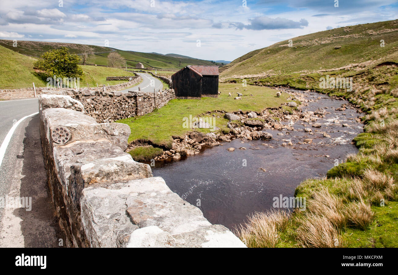 Schafe grasen, in den Körnern o'th'Beck Wiesen, am Ufer des Flusses Lune im Teesdale Bezirk Land Durham, unter den Hügeln von England's North Pe Stockfoto