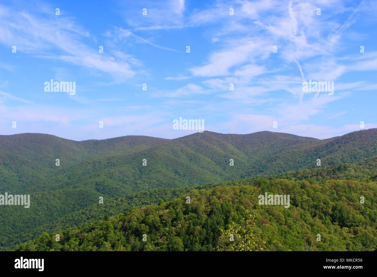 Smoky Mountain Views Stockfoto