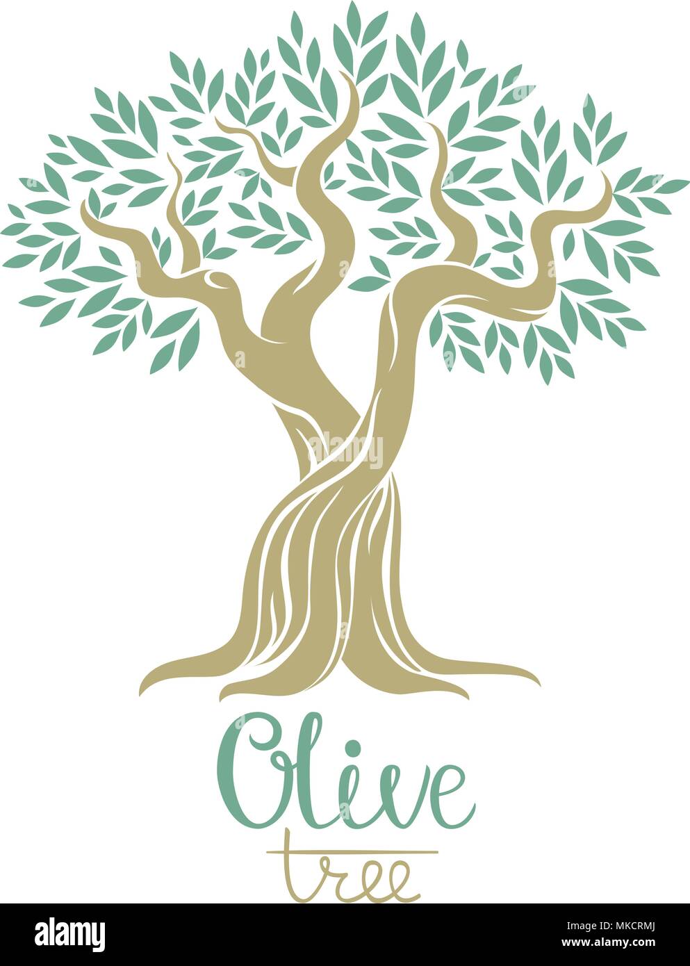 Olive Tree Vector Illustration Olivenol Vektor Olivenbaum Fur Etiketten Pack Stock Vektorgrafik Alamy