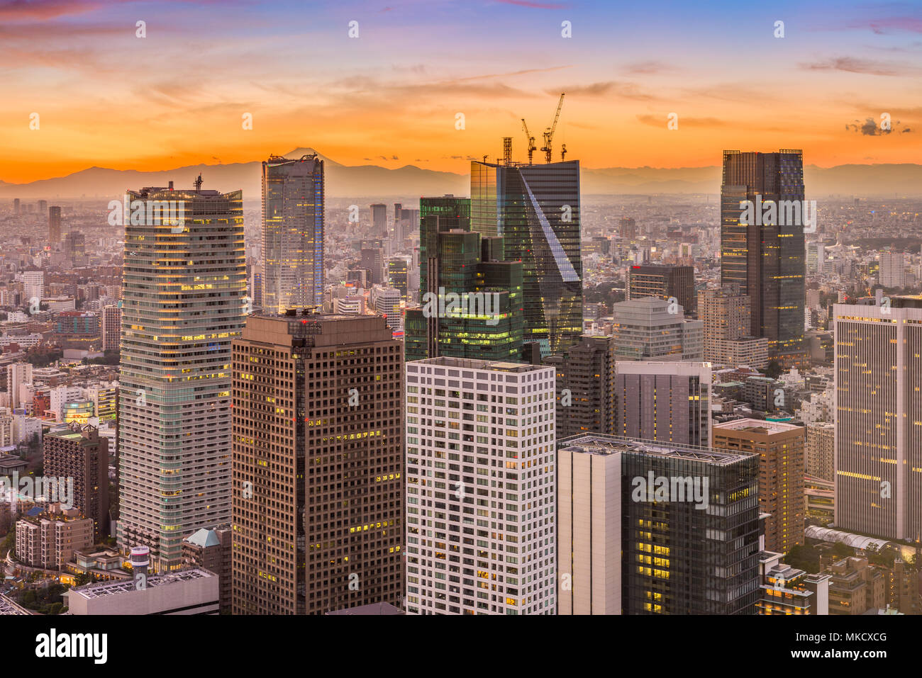 Tokio, Japan die Gebäude Stadtbild in der Abenddämmerung. Stockfoto