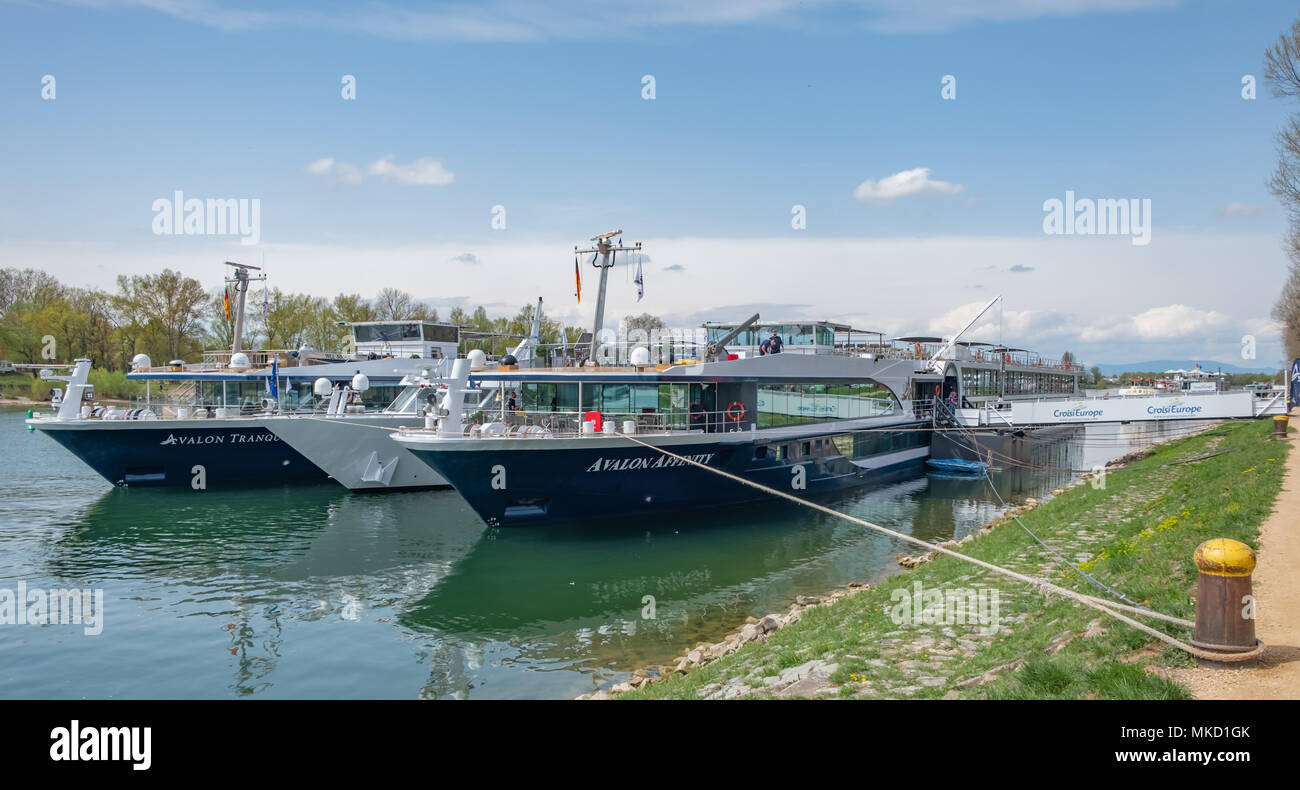 Gruppe der Kreuzfahrt Schiffe auf dem Rhein in der Nähe von Breisach Deutschland. Stockfoto