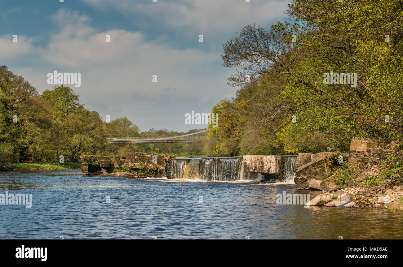 Panoramablick auf das DENKMALGESCHÜTZTE, festgelegt, antiken Monument der Whorlton Hängebrücke über den Fluss-T-Stücke, Yorkshire und County D Stockfoto