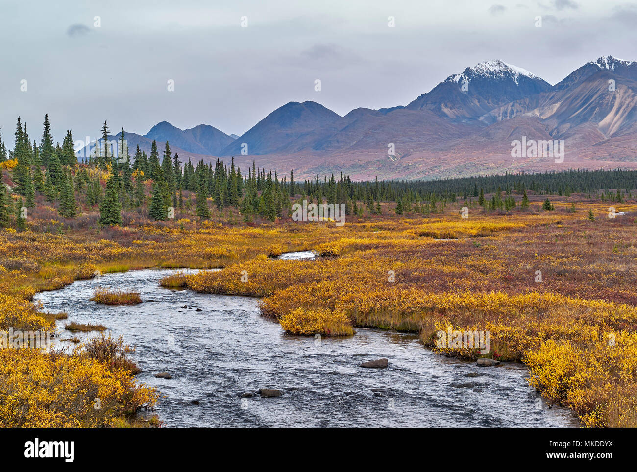 picture Nenana River Denali alamy