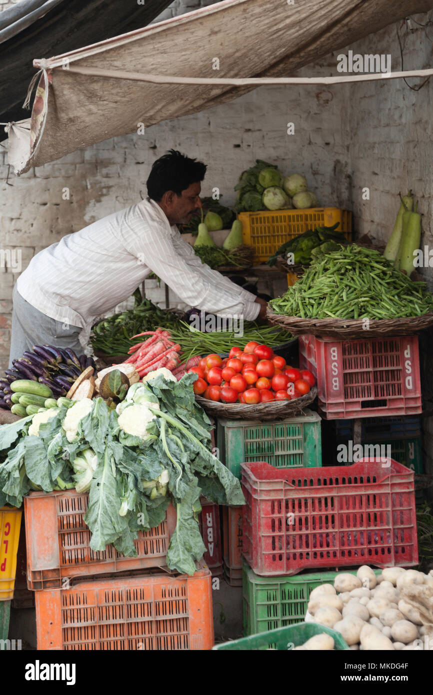 Ein Lebensmittelhändler in Varanasi neigt dazu, seine Straße von frischem Gemüse. Er ist sehr stolz auf seine Anzeige. Stockfoto