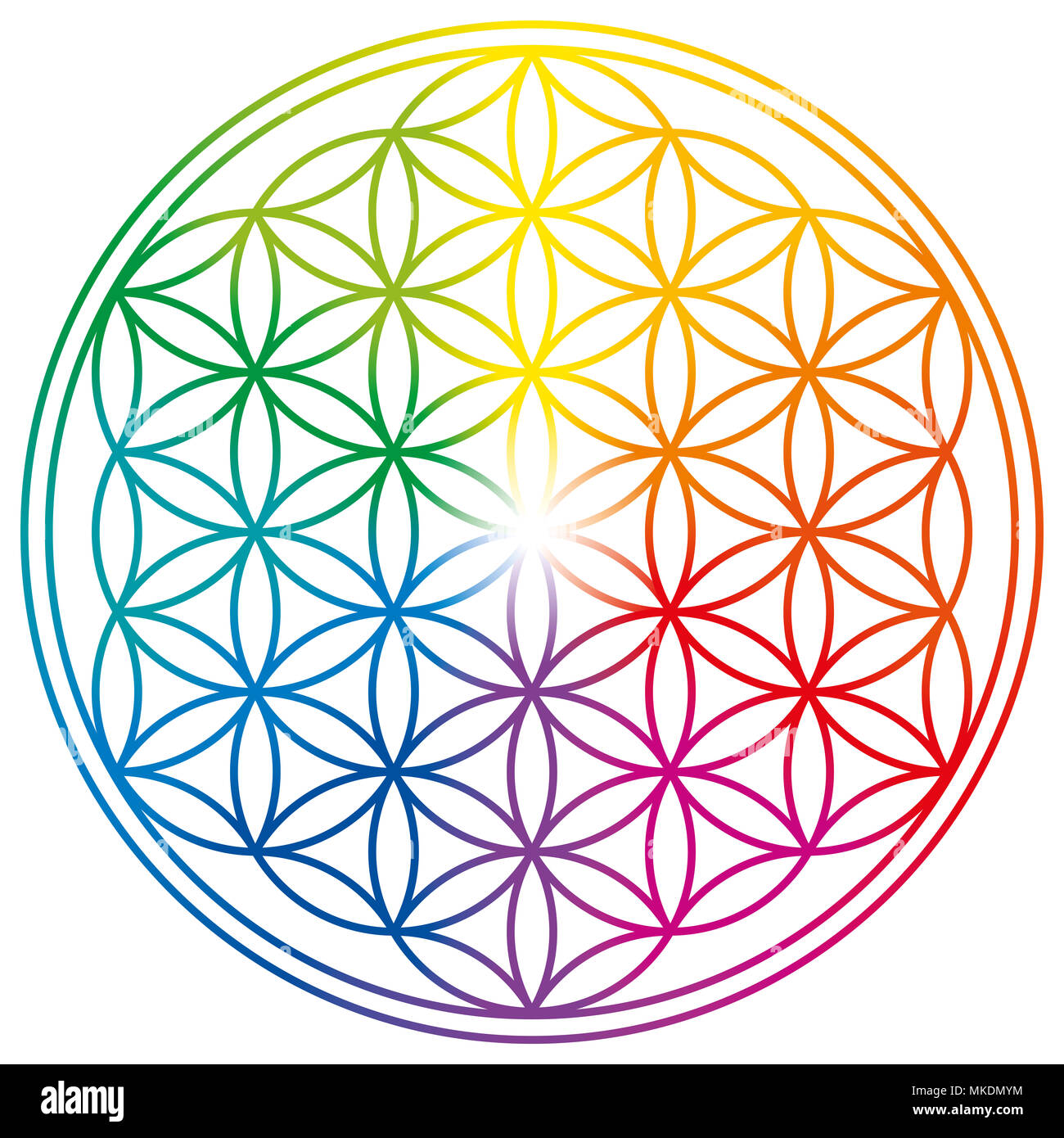 Blume des Lebens in Regenbogenfarben. Geometrische Figur, spirituelles Symbol, die heilige Geometrie. Überlappende Kreise bilden eine Blume wie Muster. Stockfoto