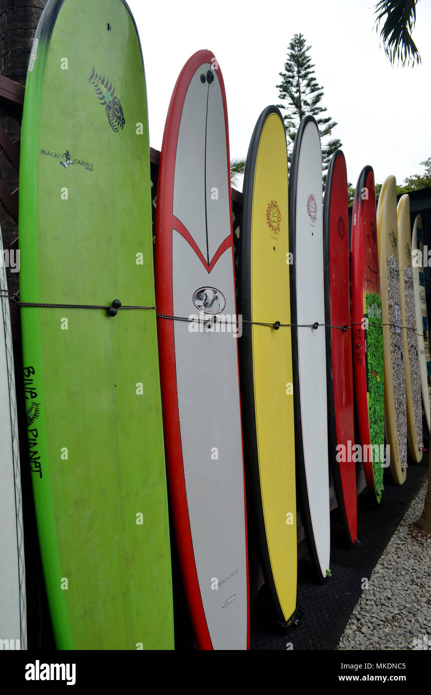 Reihe von bunten surft Boards. North Shore Oahu Hawaii genommen. Stockfoto