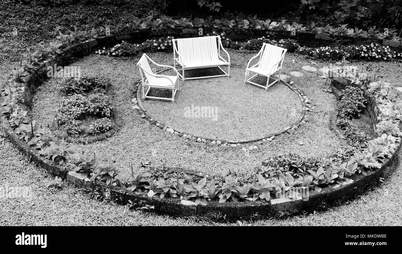 Schwarz-weiß Foto von einem Garten Stockfoto