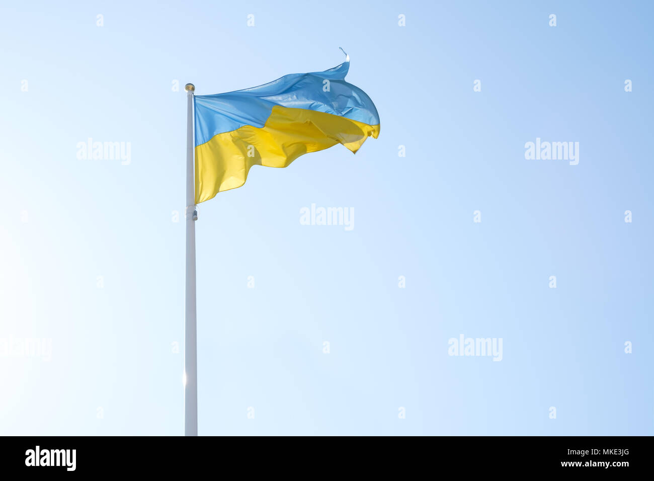 Blau und Gelb ukrainische Flagge Stockfoto