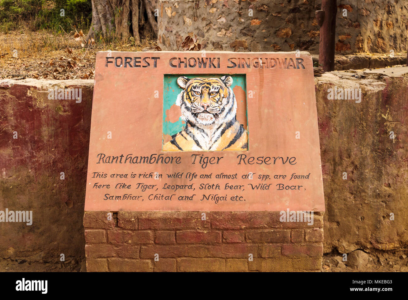 Malerei der Tiger in den Wald Chowki Singhdwar Eingang zum Ranthambore Nationalpark Ranthambore Tiger Reserve, Rajasthan, Nordindien Stockfoto