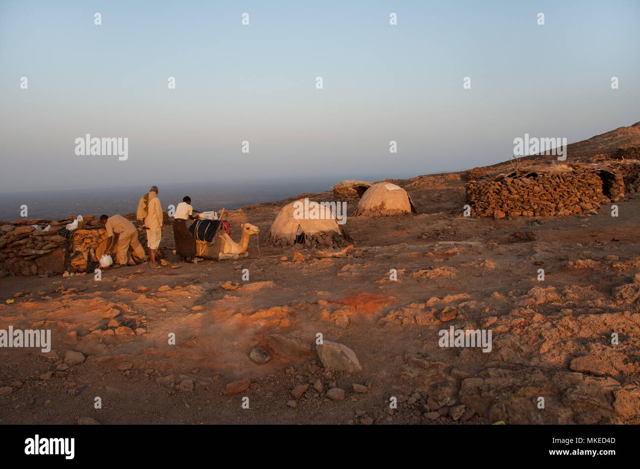 Kamele und von Personen, die sich in der afrikanischen Wüste in der Nähe der Ton Gebäude sind kleine Oase, der Sonnenuntergang Farben alles in Rosa, Äthiopien. Stockfoto