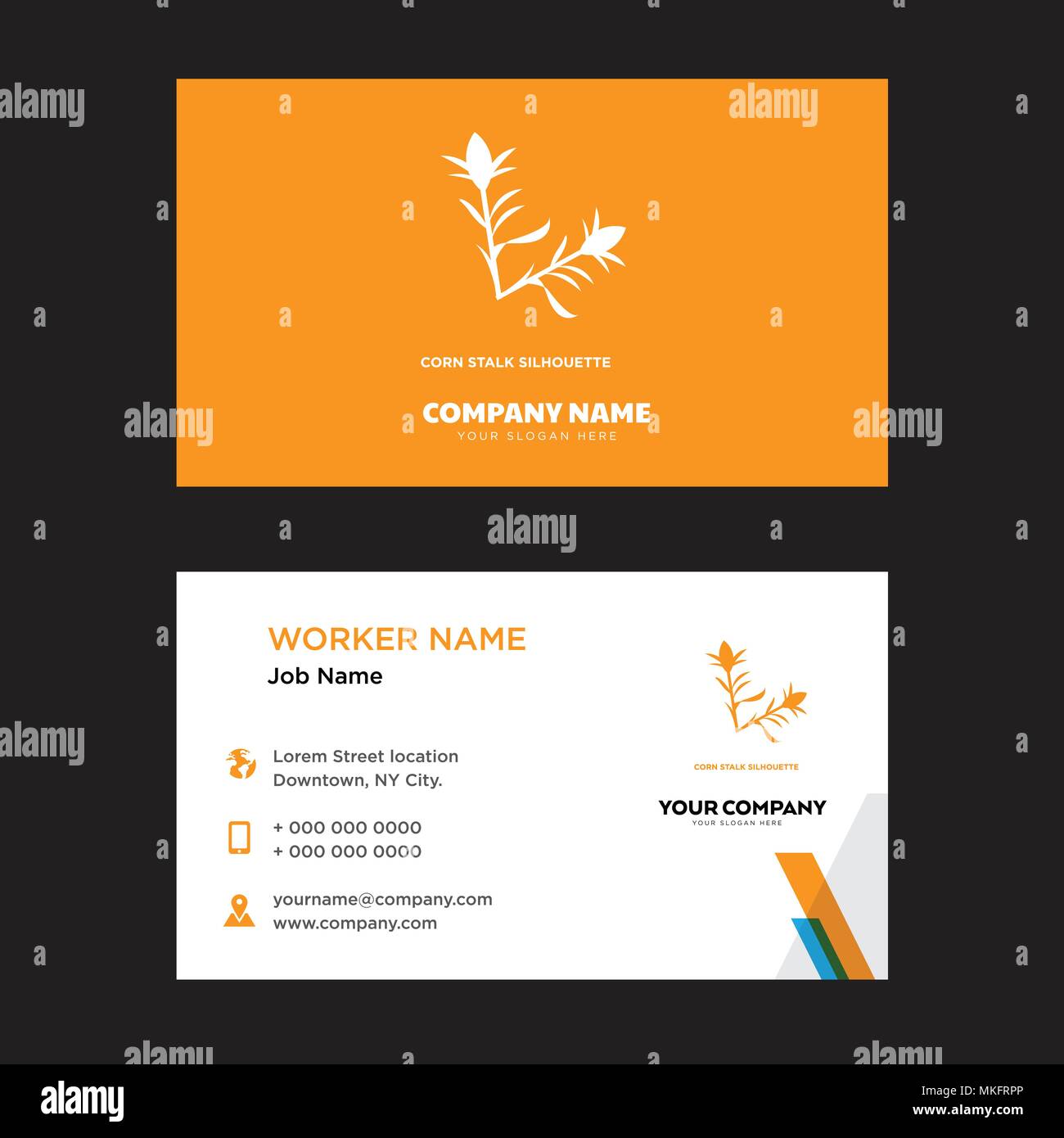 Von Maisstängeln business card Design vorlage, für Ihr Unternehmen, moderne horizontale Personalausweis Vektor Stock Vektor