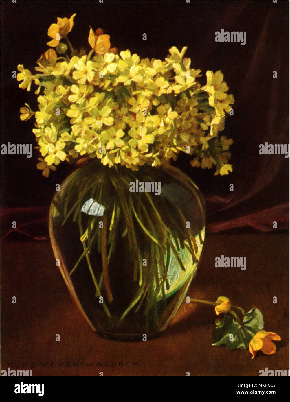 Blumen in klarem Glas Vase Stockfoto