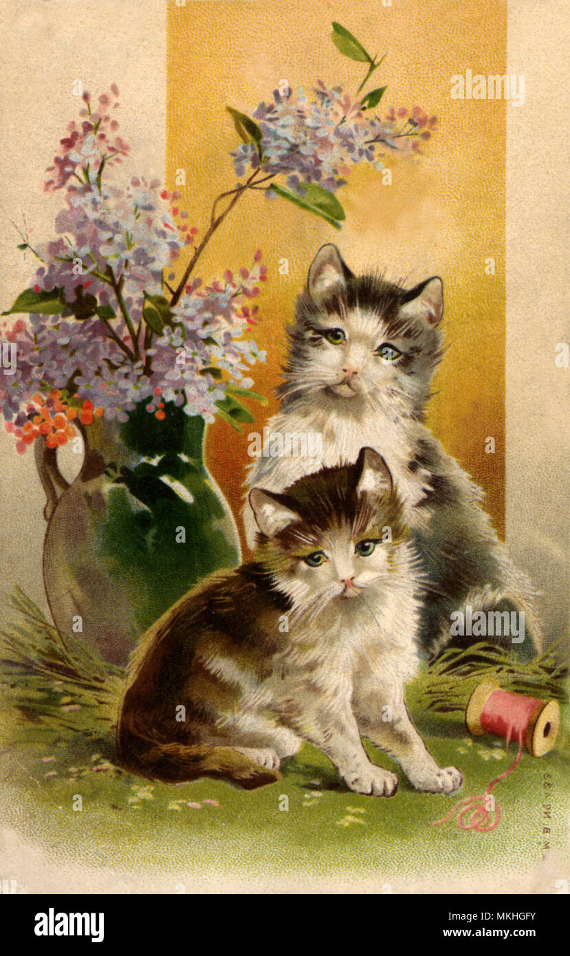 Zwei Kätzchen spielen in der Nähe von Vase mit Blumen Stockfoto