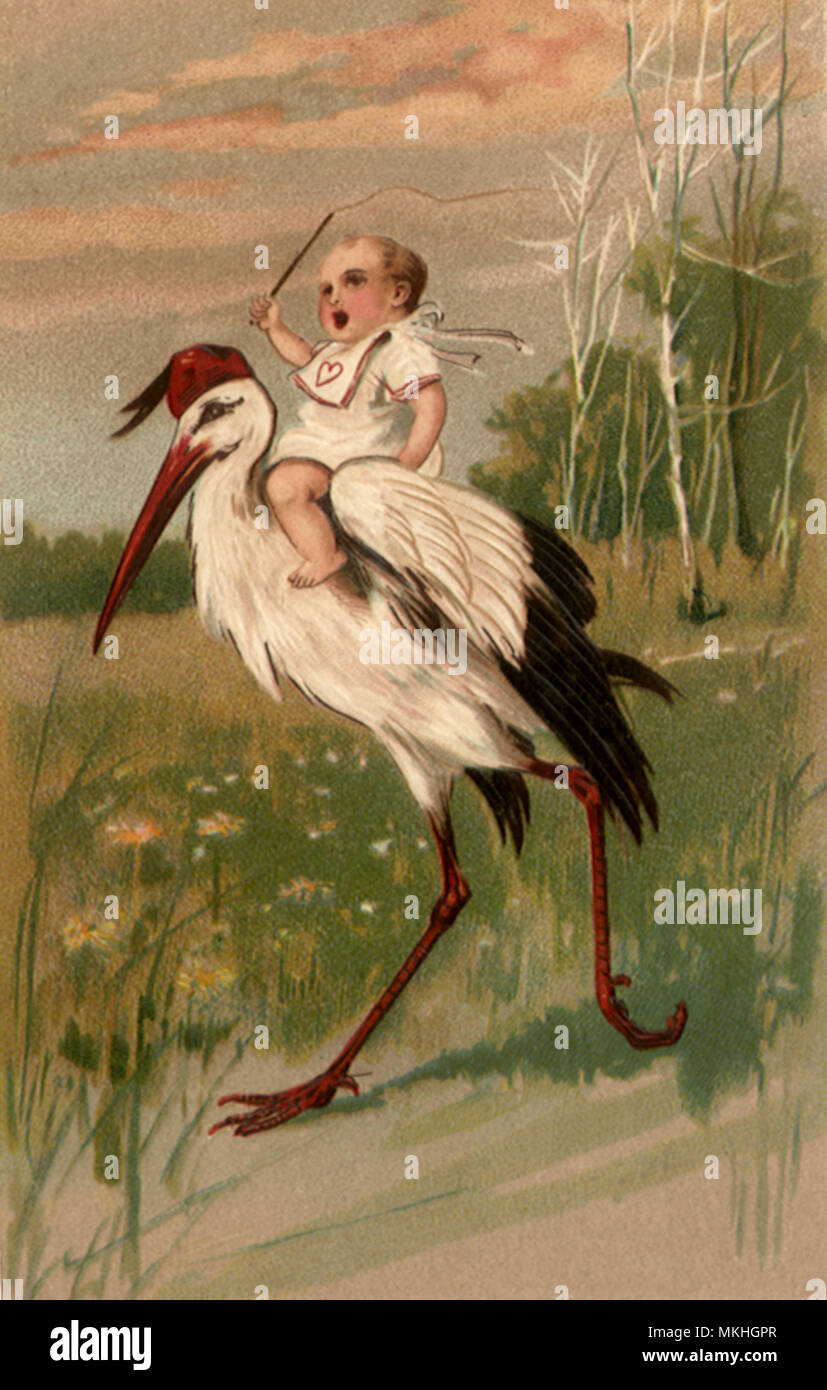 Baby mit Peitsche Reiten Stork Stockfoto