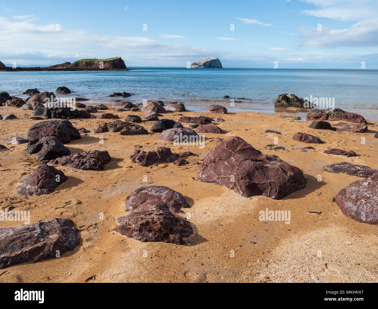 Seacliff, East Lothian, Schottland - das Geheimnis Cove und Lage von einer der kleinsten Häfen der Welt. Felsformationen am Strand. Stockfoto