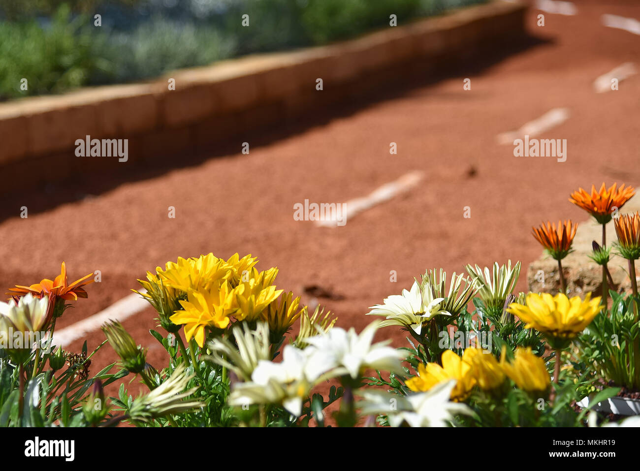 Blumen auf der Straße - Genova Nervi - euroflora - Italien Stockfoto