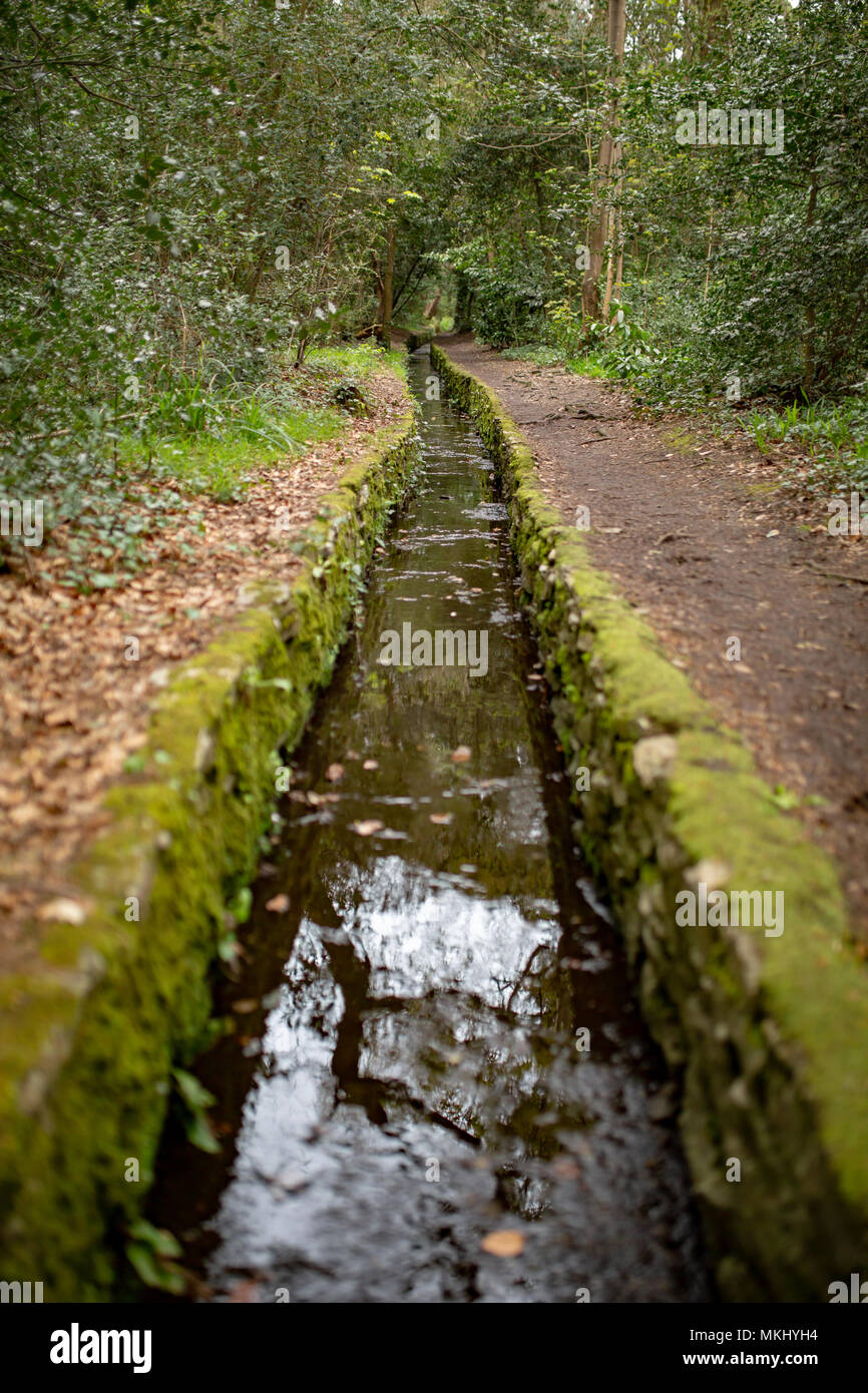 Farbfoto des alten Stein ausgekleidet Stream mit Wasser Stockfoto