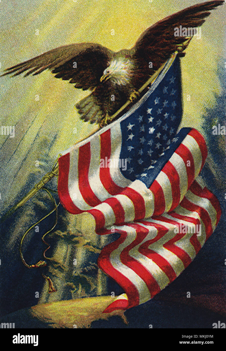 Adler und Amerikanische Flagge Stockfoto