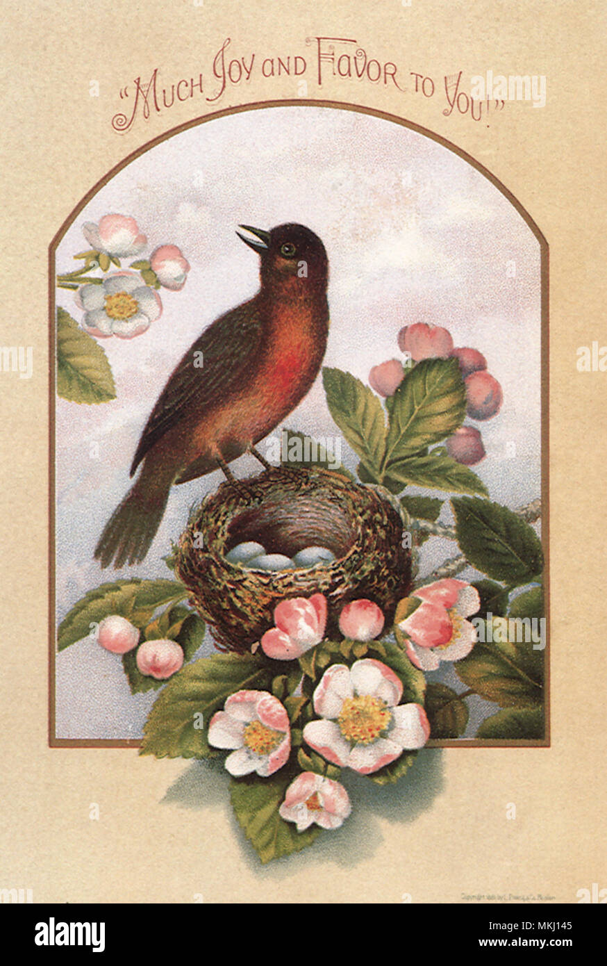 Vogel auf Nest mit Blumen Stockfoto