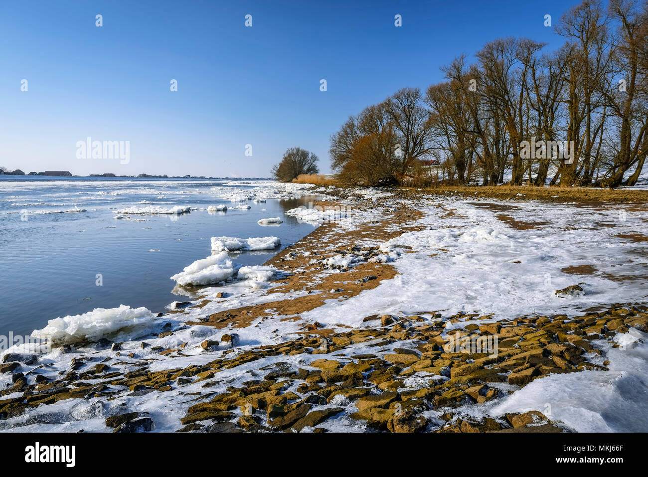 Eisschollen auf der Elbe in Kirch Werder, Hamburg, Deutschland, Europa, Eisschollen am Elbufer in Kirchwerder, Deutschland, Europa Stockfoto