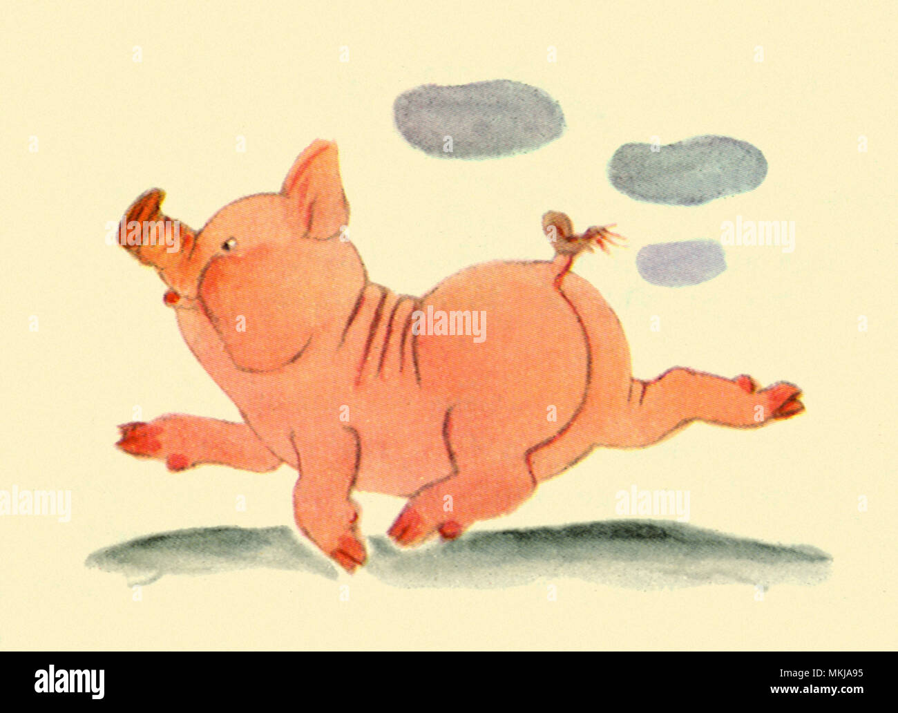 Schwein Überspringen nach Wolken Stockfoto