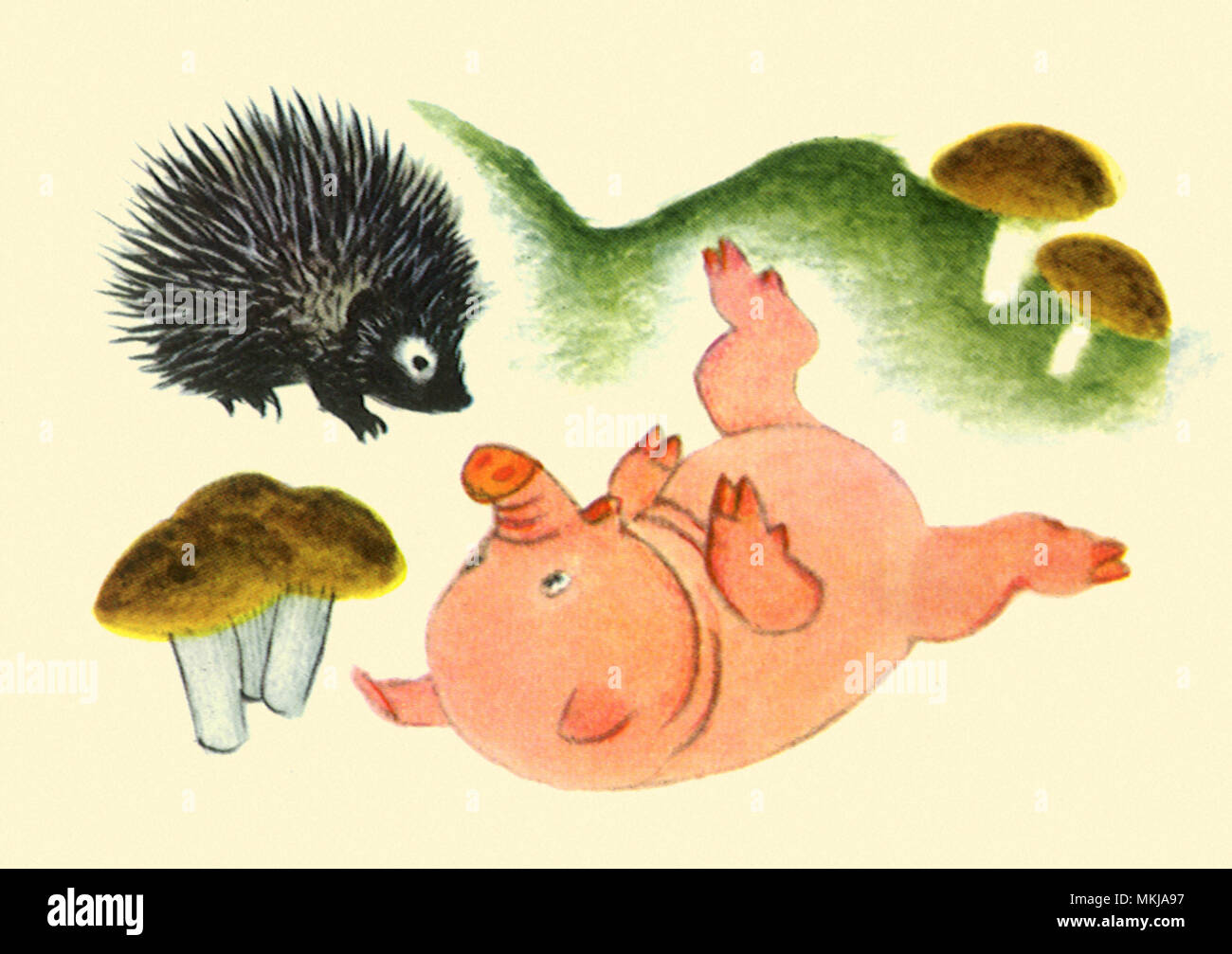 Schwein mit Porcupine und Pilze Stockfoto