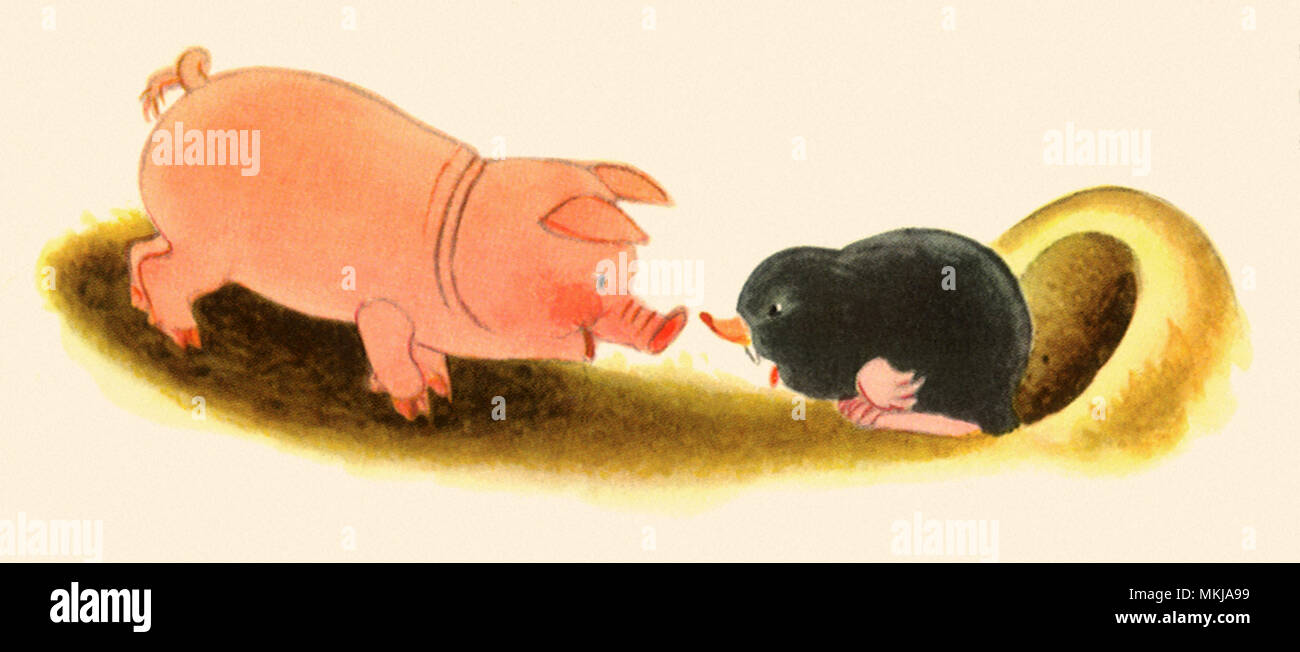 Schwein und Mole Stockfoto