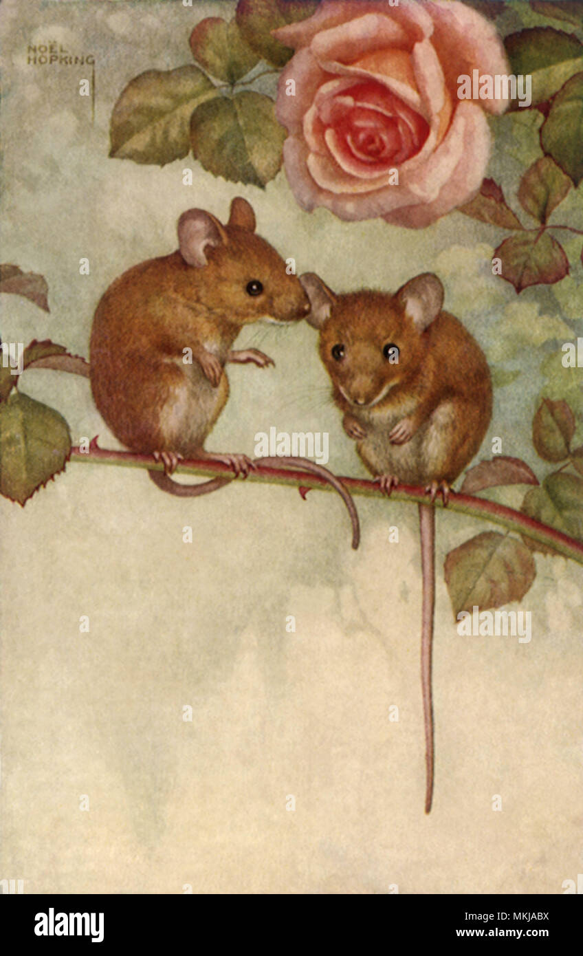 Mäuse unter Rose Stockfoto