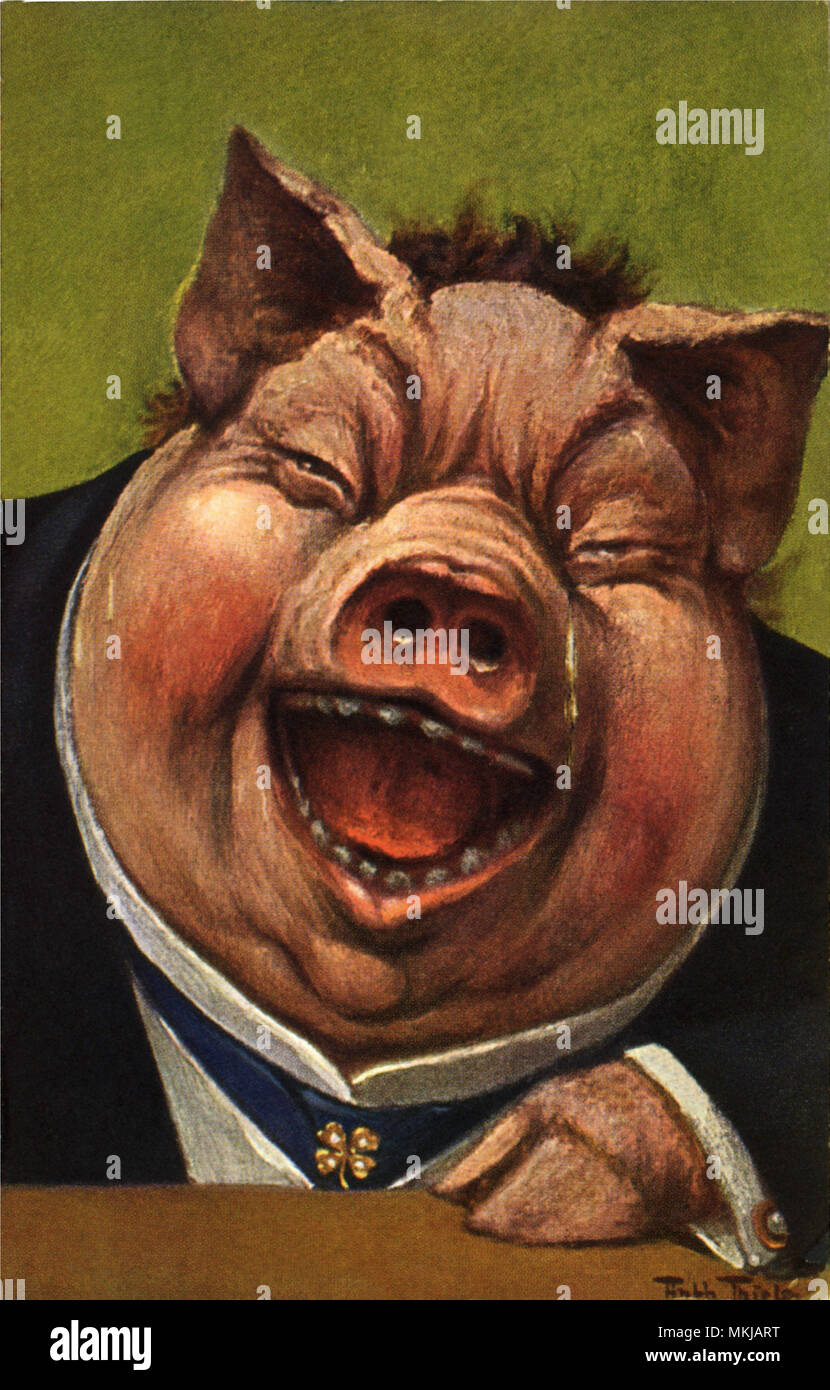Schwein lacht Stockfoto