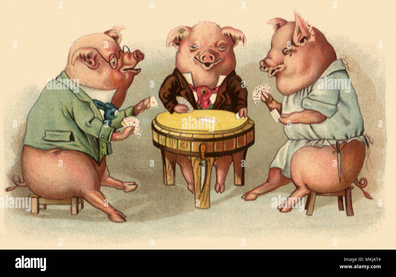 Schweine Karten Stockfoto