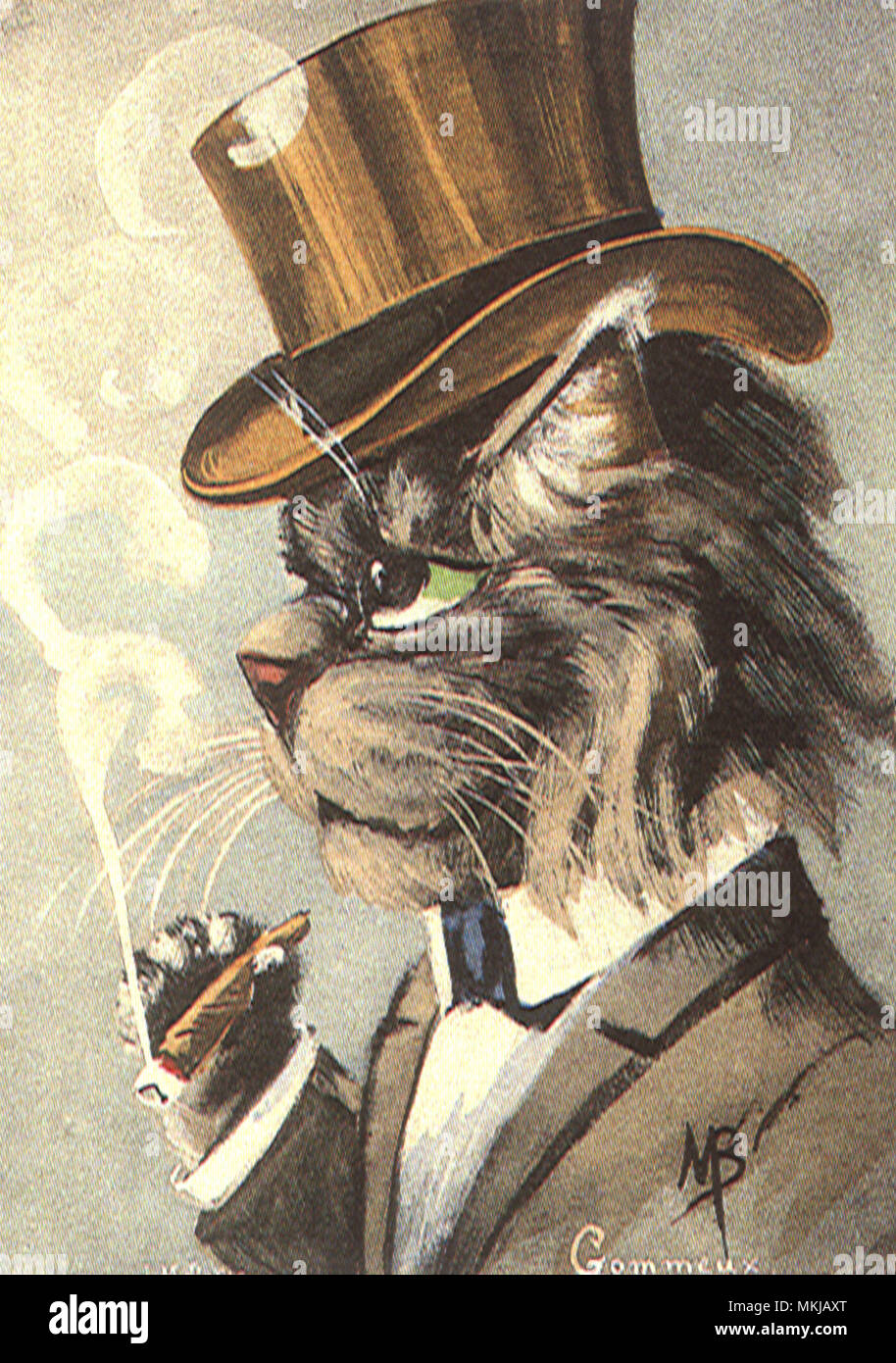Katze mit Zigarre Stockfoto