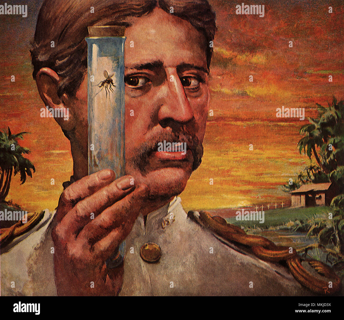 Walter Reed Stockfoto