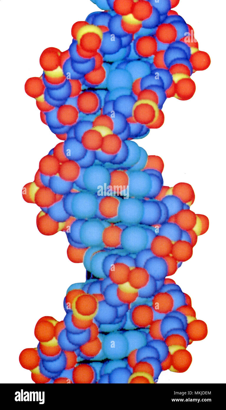 DNA-Struktur Stockfoto