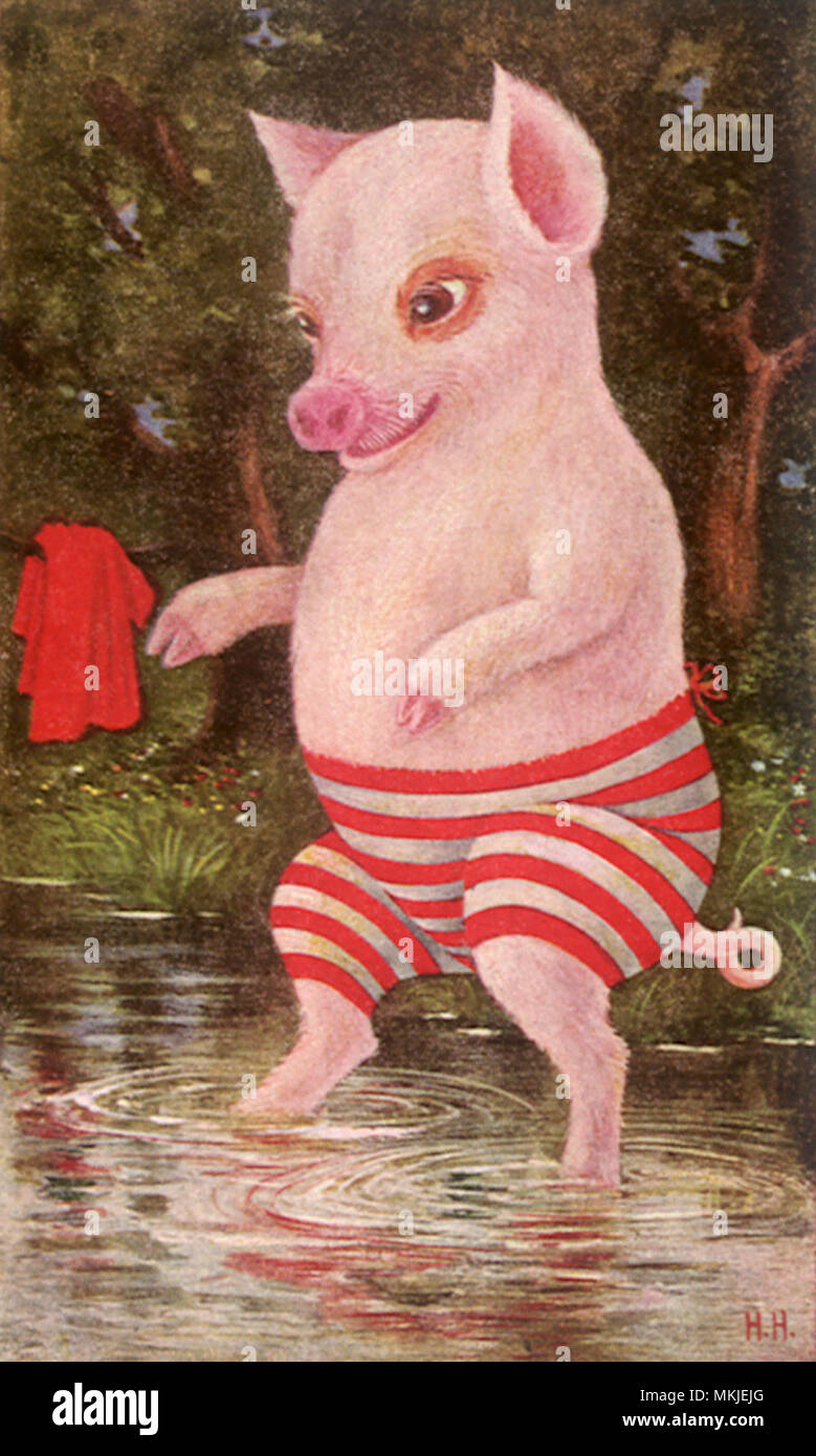 Schwein Schwimmen Stockfoto