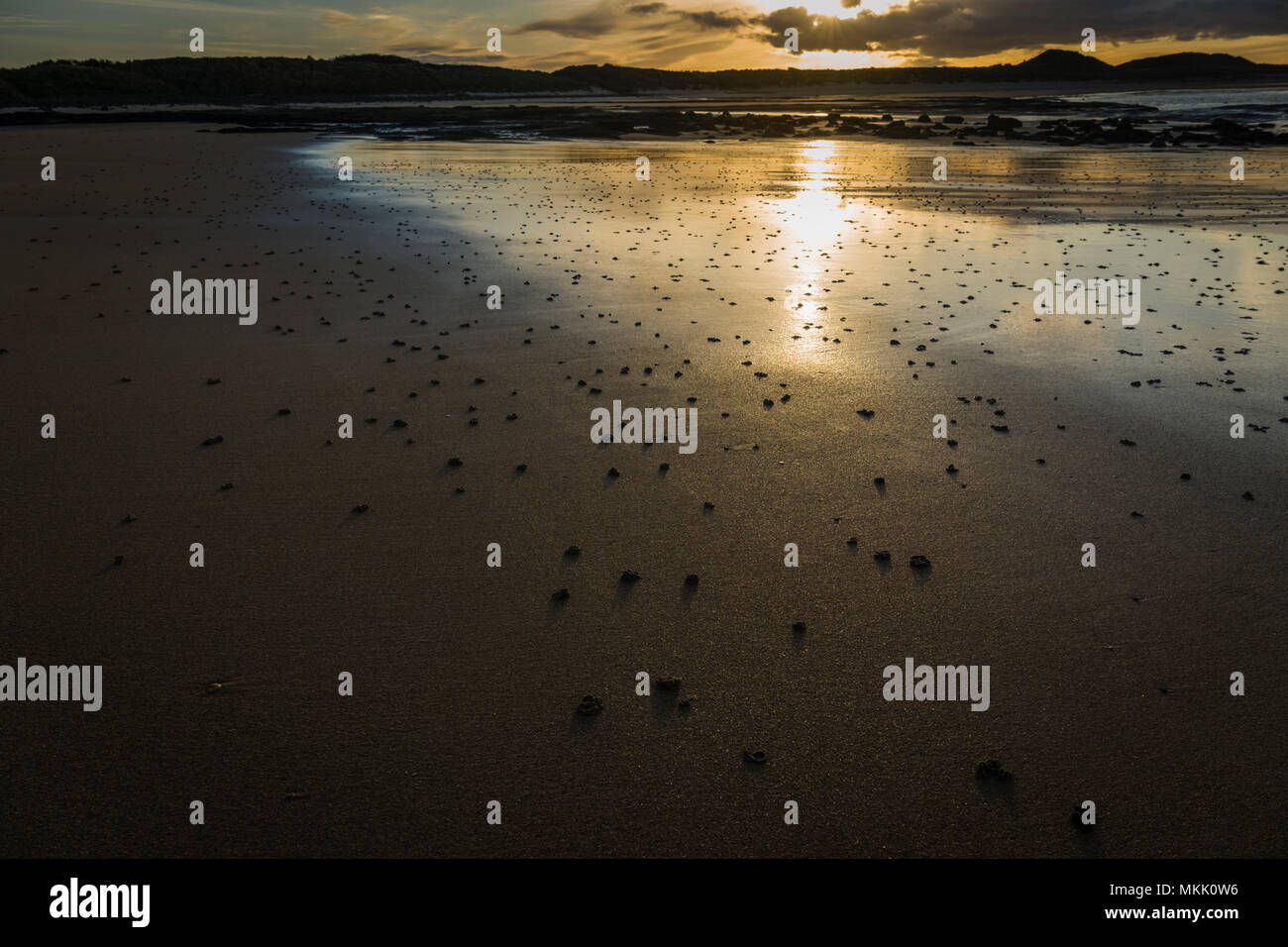 Sand worm wirft bei Embleton Bay, Northumberland, Großbritannien. Stockfoto