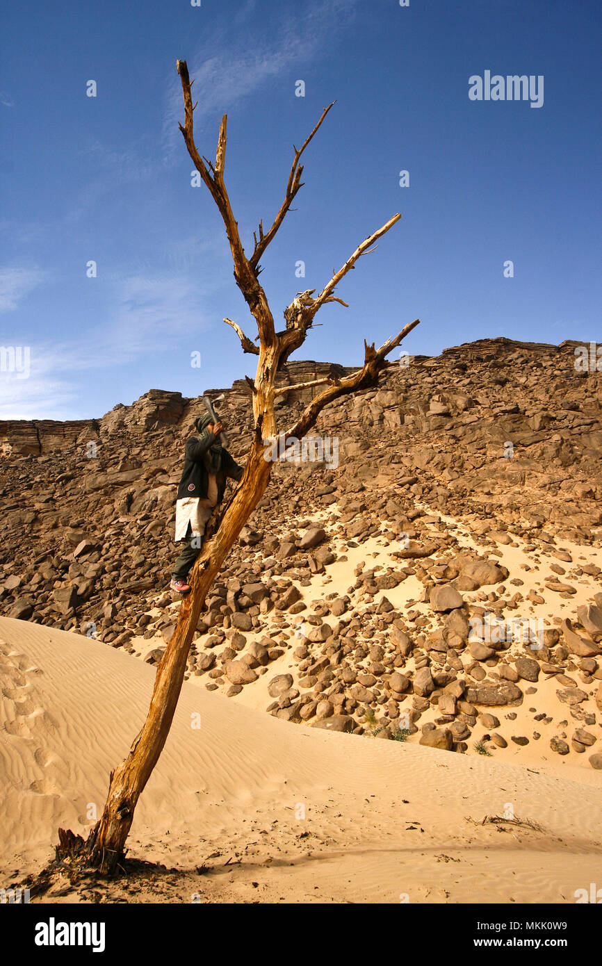 Tin Tarabine. Tassili l'haggar. Argelia. Sahara Stockfoto