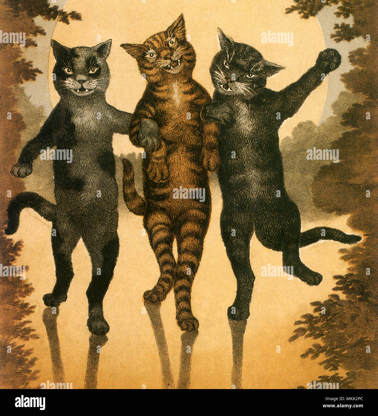 Drei Katzen, Pfote in Pfote Stockfoto