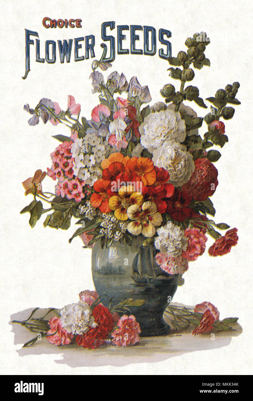Blumen in Vase Stockfoto